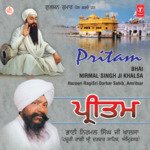 Pritam Vol-28 - Bhai Nirmal Singh Ji-Hazoori Ragi Sri Darbar Saheb Amritsar Song Download